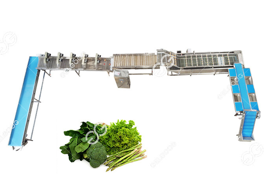 Китай CE аттестовал линию завод по обработке стирки густолиственного овоща нержавеющей стали автоматическую овоща поставщик