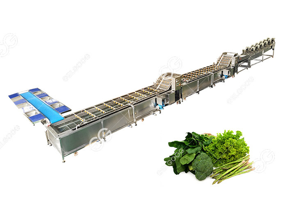 Китай CE аттестовал линию завод по обработке стирки шайбы овоща нержавеющей стали коммерчески овоща поставщик