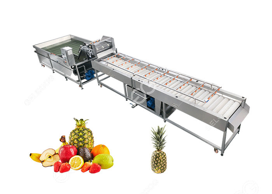 Китай Обработка плода Equipment2T/H машины большого ананаса выхода очищая поставщик