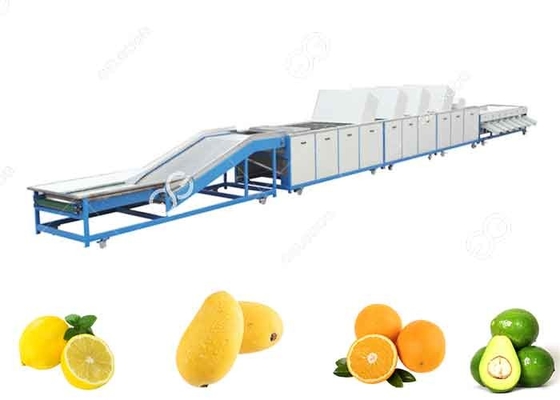 Китай линия стирки плода оборудования плода 1t/H-5t/H моя для продаж на экспорт плода поставщик