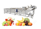 Автоматическая полная производственная линия фруктового сока для стандарта КЭ Коммерикал поставщик