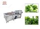 Стиральная машина листьев зеленого цвета стиральной машины густолиственного овоща 300-5000KG/H поставщик
