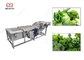 Стиральная машина листьев зеленого цвета стиральной машины густолиственного овоща 300-5000KG/H поставщик